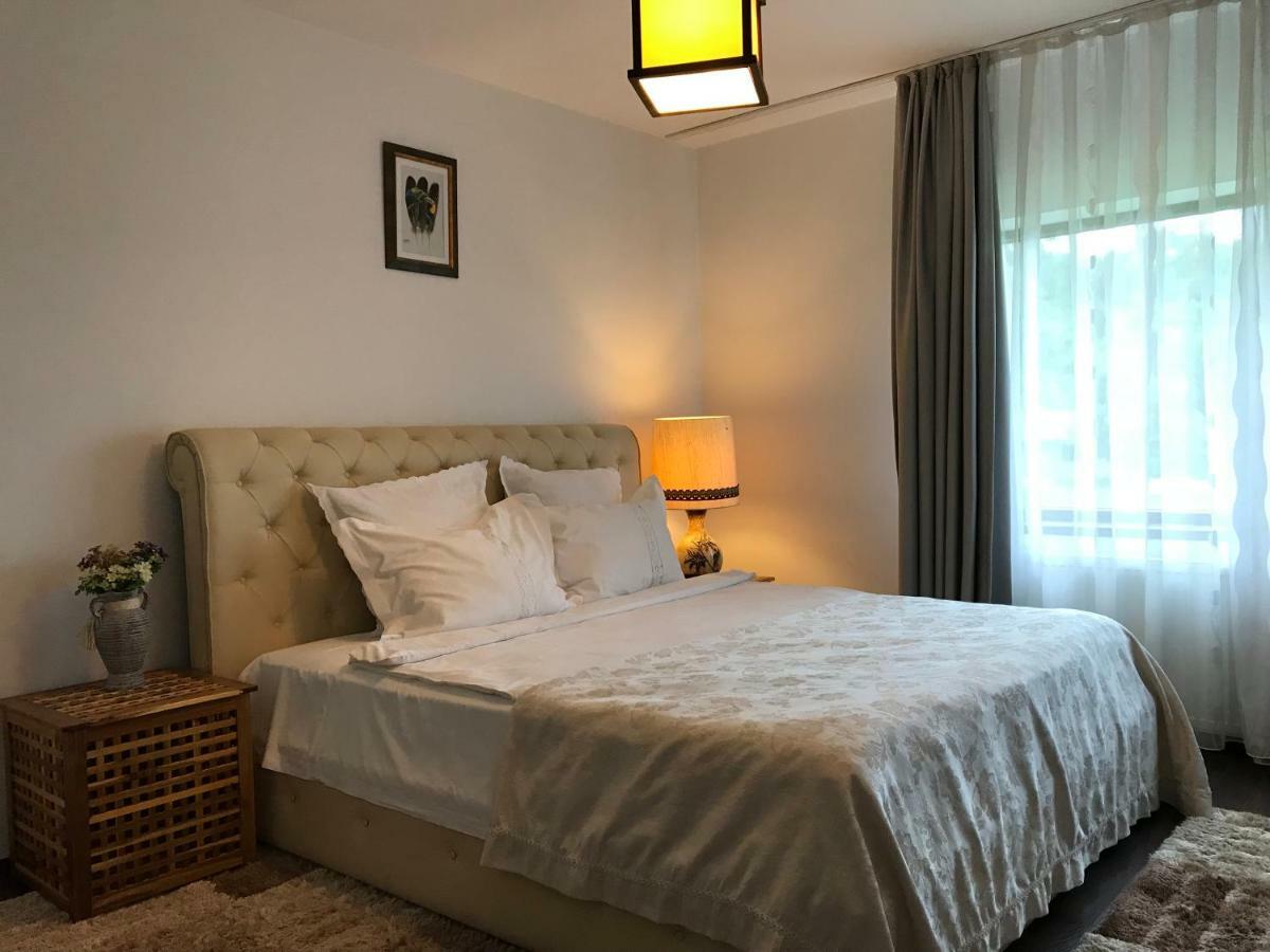 דירות בראשוב Calea Poienii Penthouse מראה חיצוני תמונה